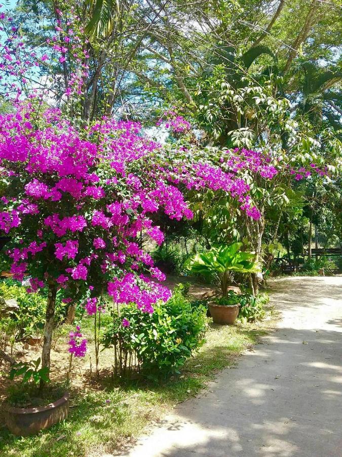 Baan Pak Rim Kuaen Resort Ban Chieo Ko Exteriör bild